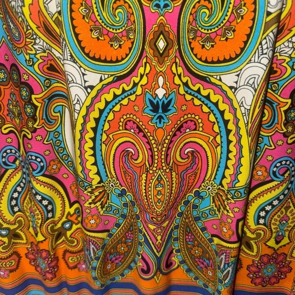 Sandra Darren Multicolor Paisley Dress - Picture 5 of 5